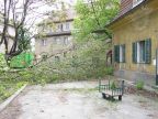 21. Mai 2005 - Nicht viel Neues
